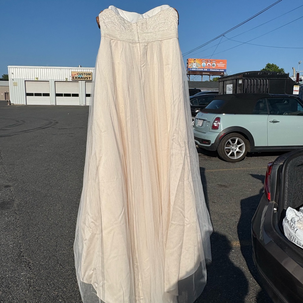David's Bridal Cream Lace Gown